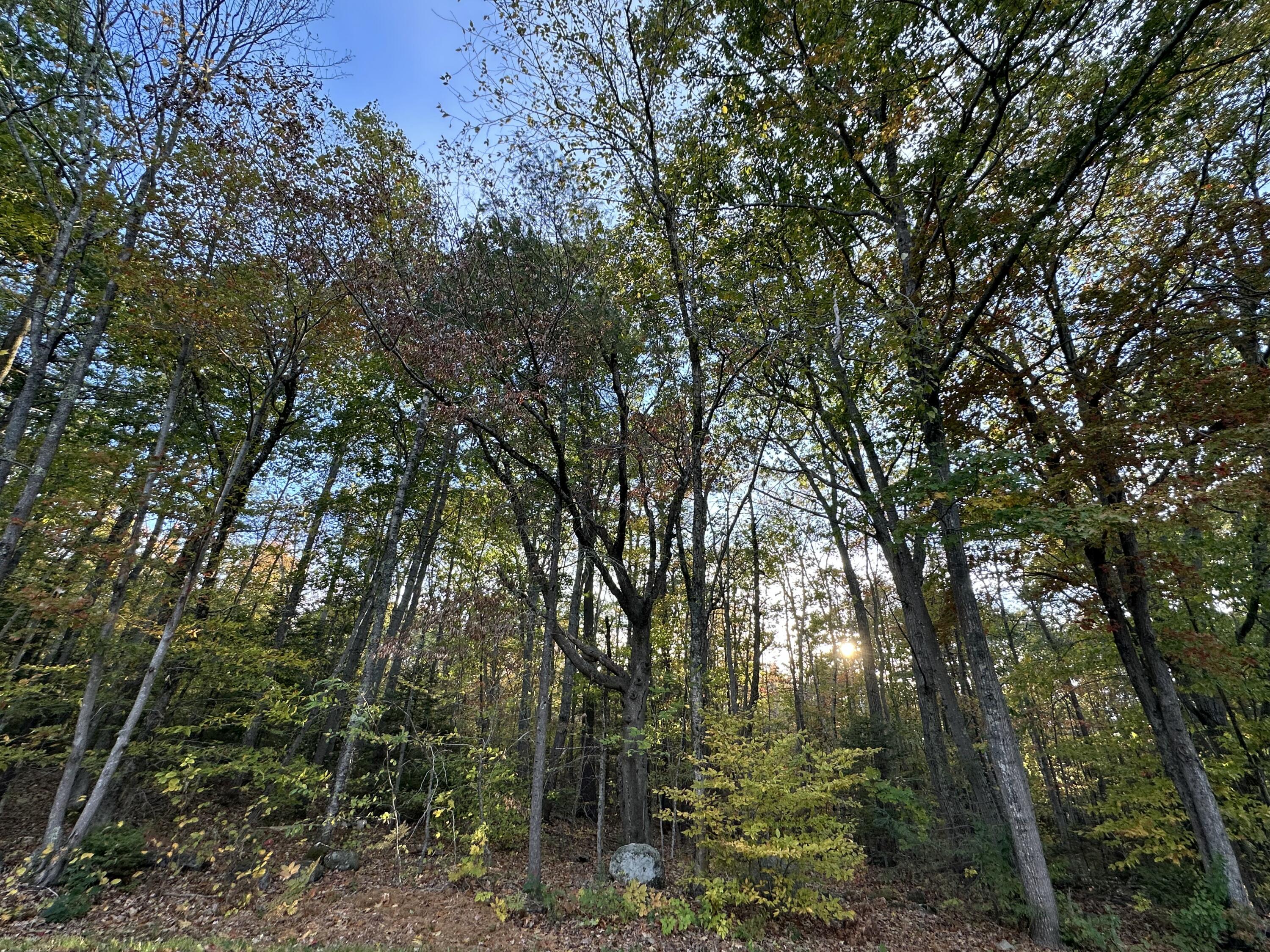 Lot # 4 South Street Freeport ME 04032