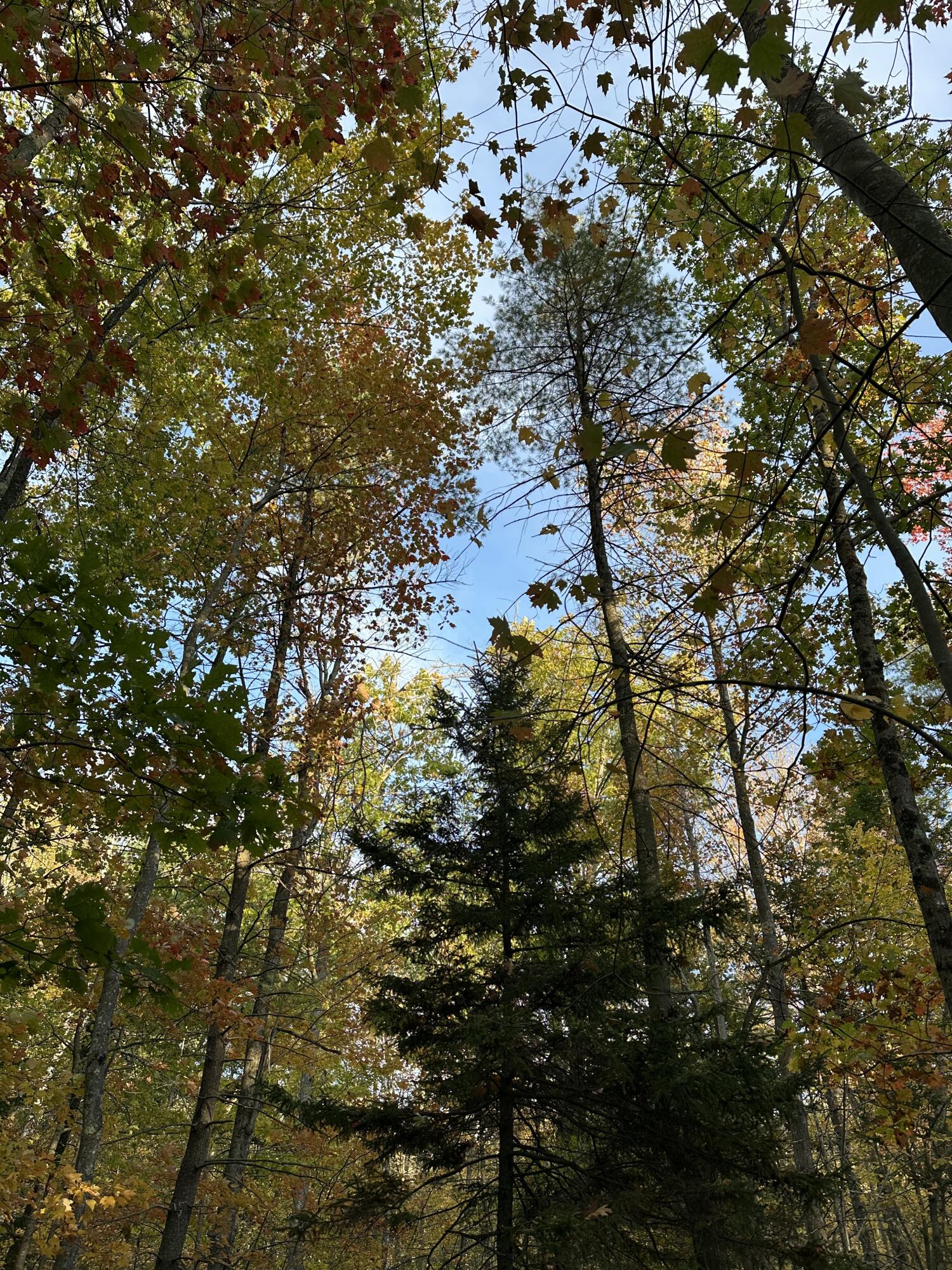 Lot # 4 South Street Freeport ME 04032