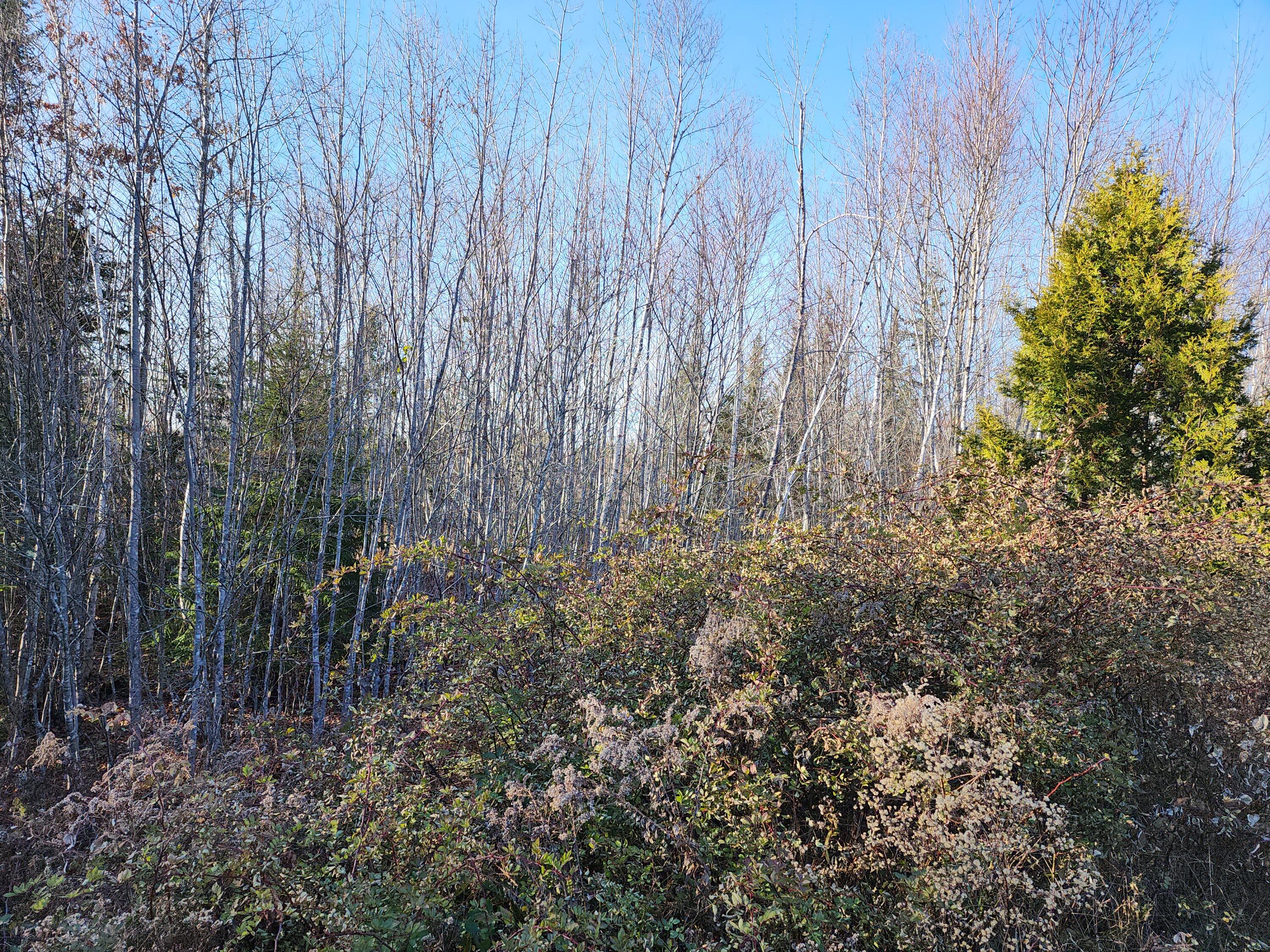 35 Trout Brook Lane Searsport ME 04974