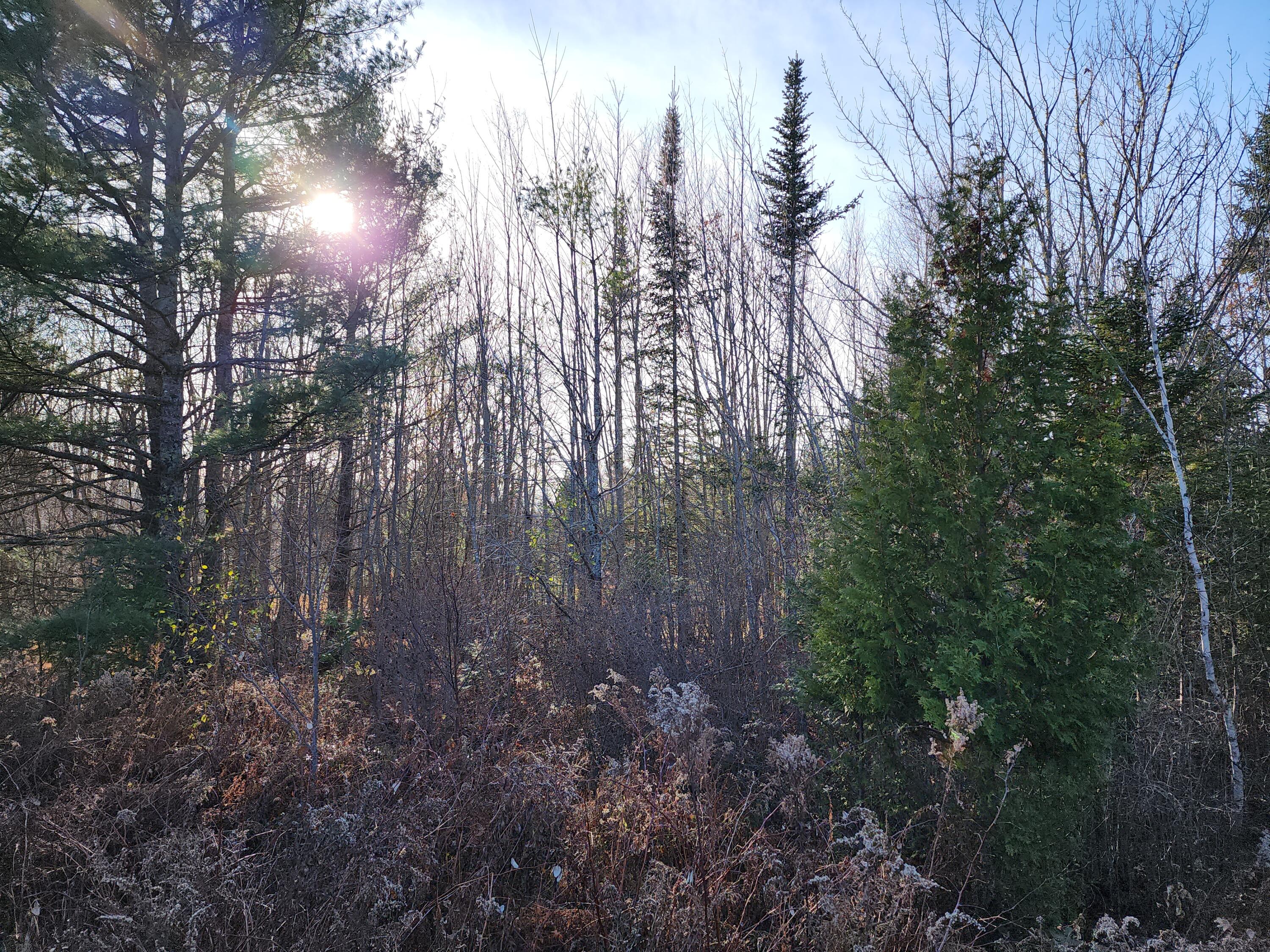 35 Trout Brook Lane Searsport ME 04974