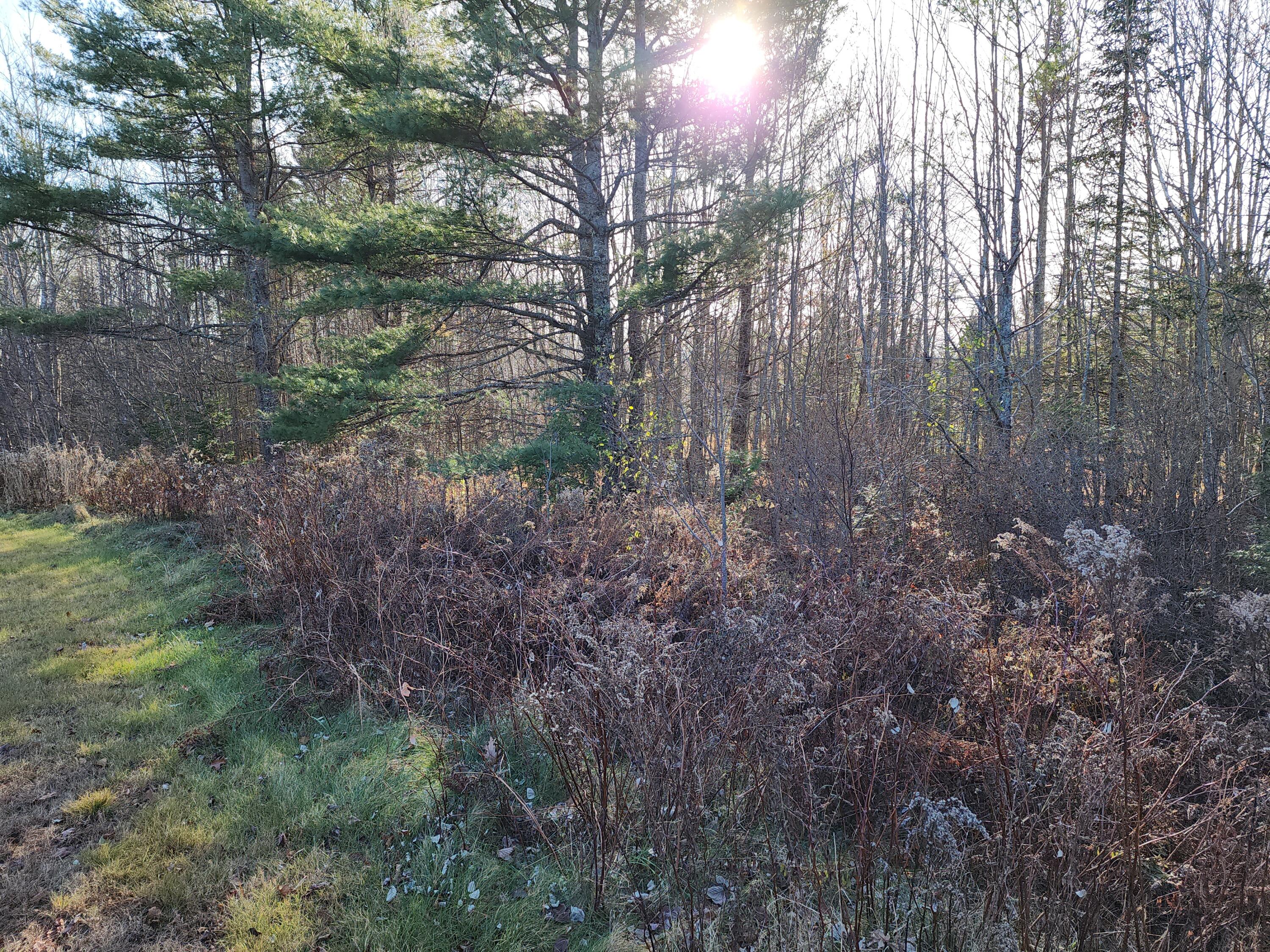 35 Trout Brook Lane Searsport ME 04974