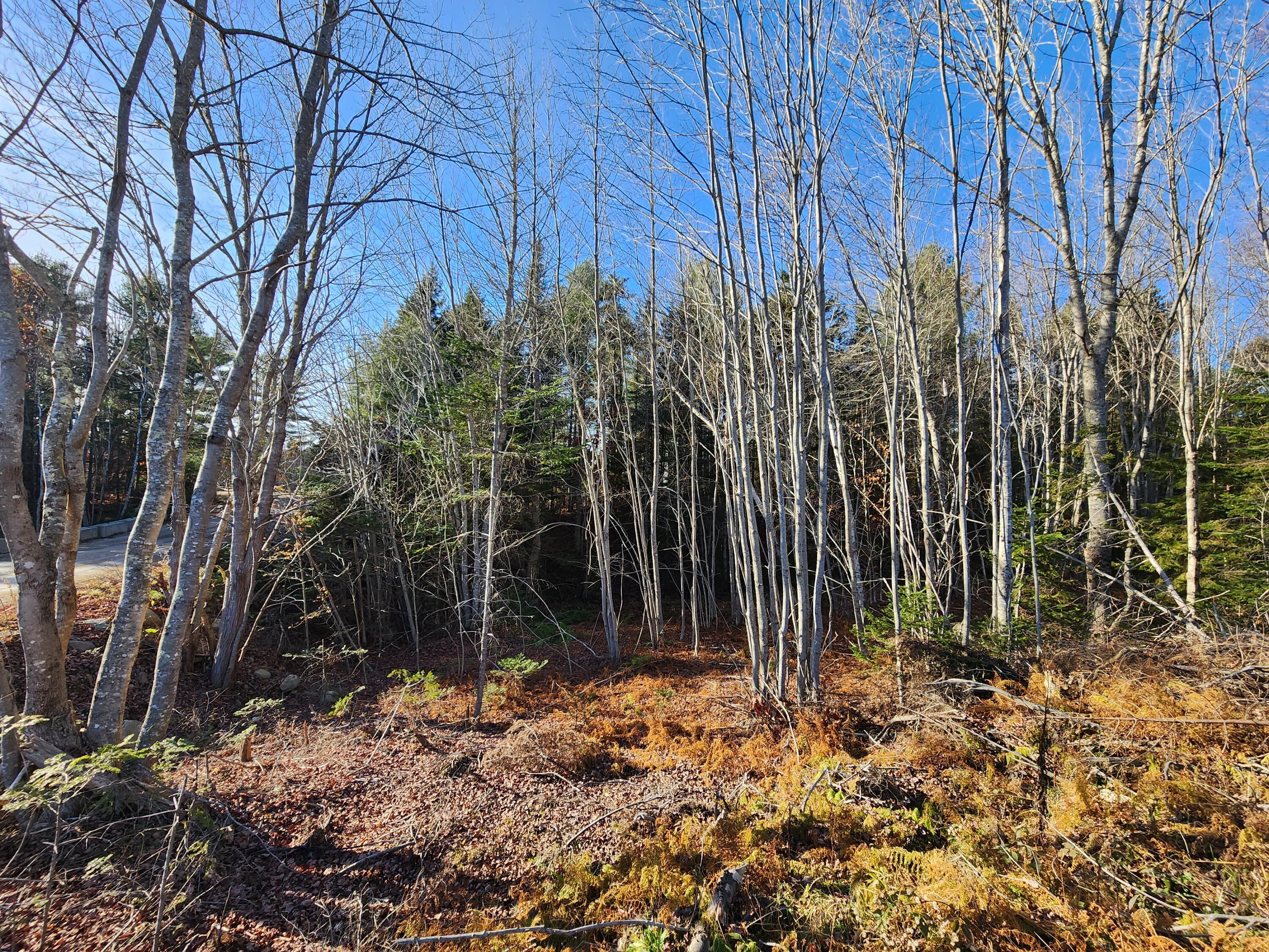 35 Trout Brook Lane Searsport ME 04974