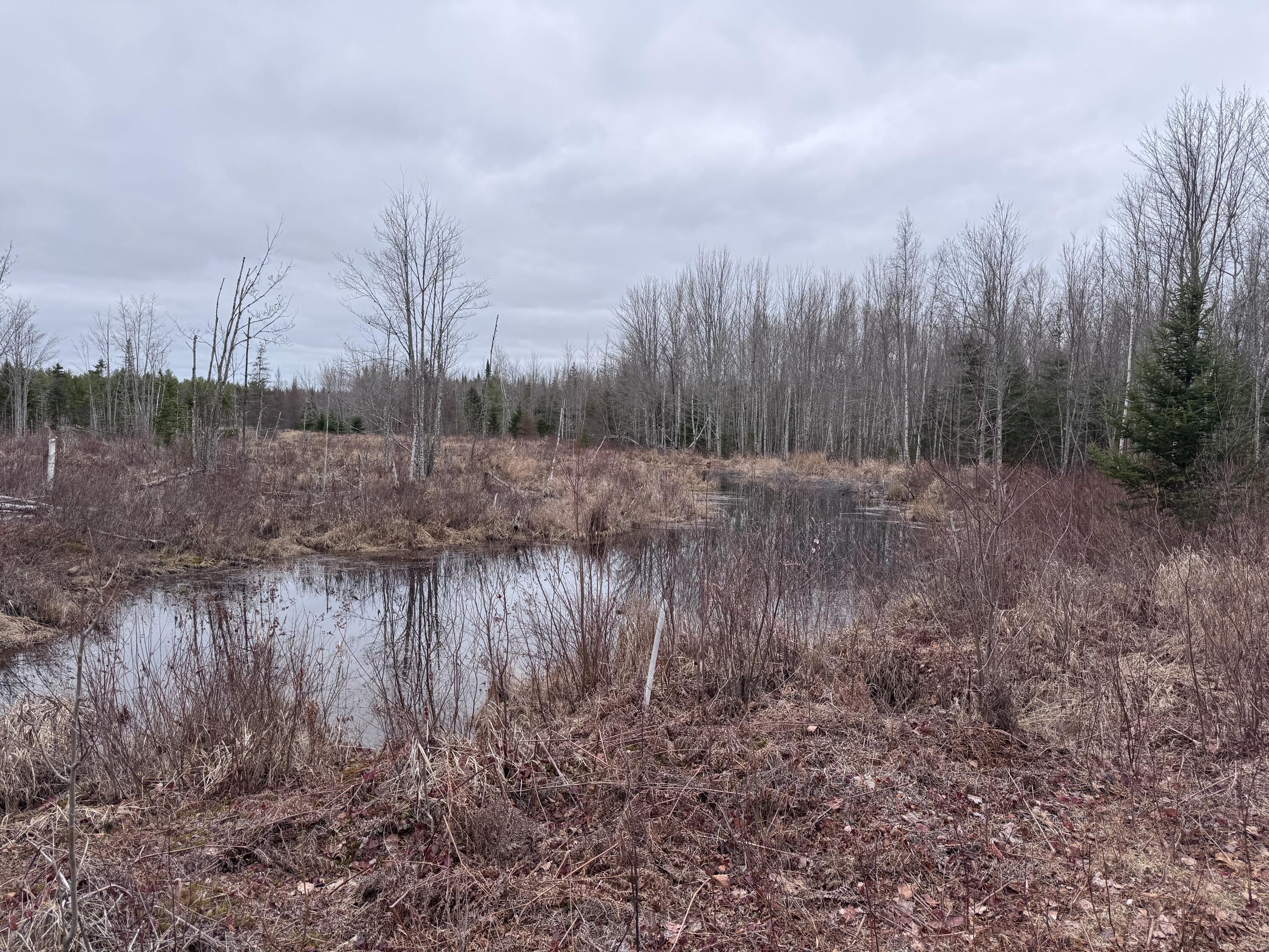 36 Otter Trail Greenbush ME 04418