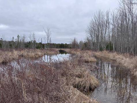 36 Otter Trail Greenbush ME 04418