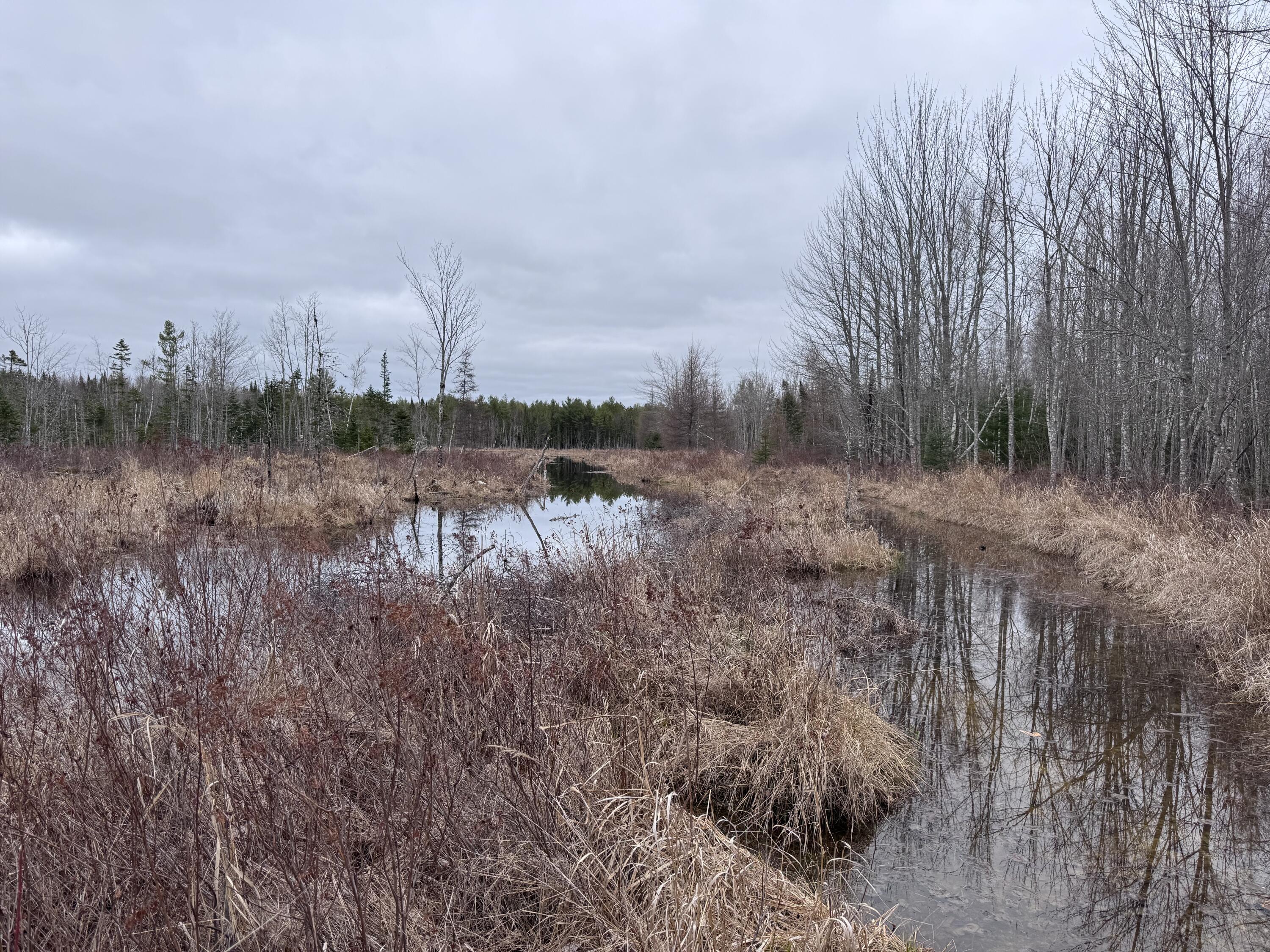 36 Otter Trail Greenbush ME 04418