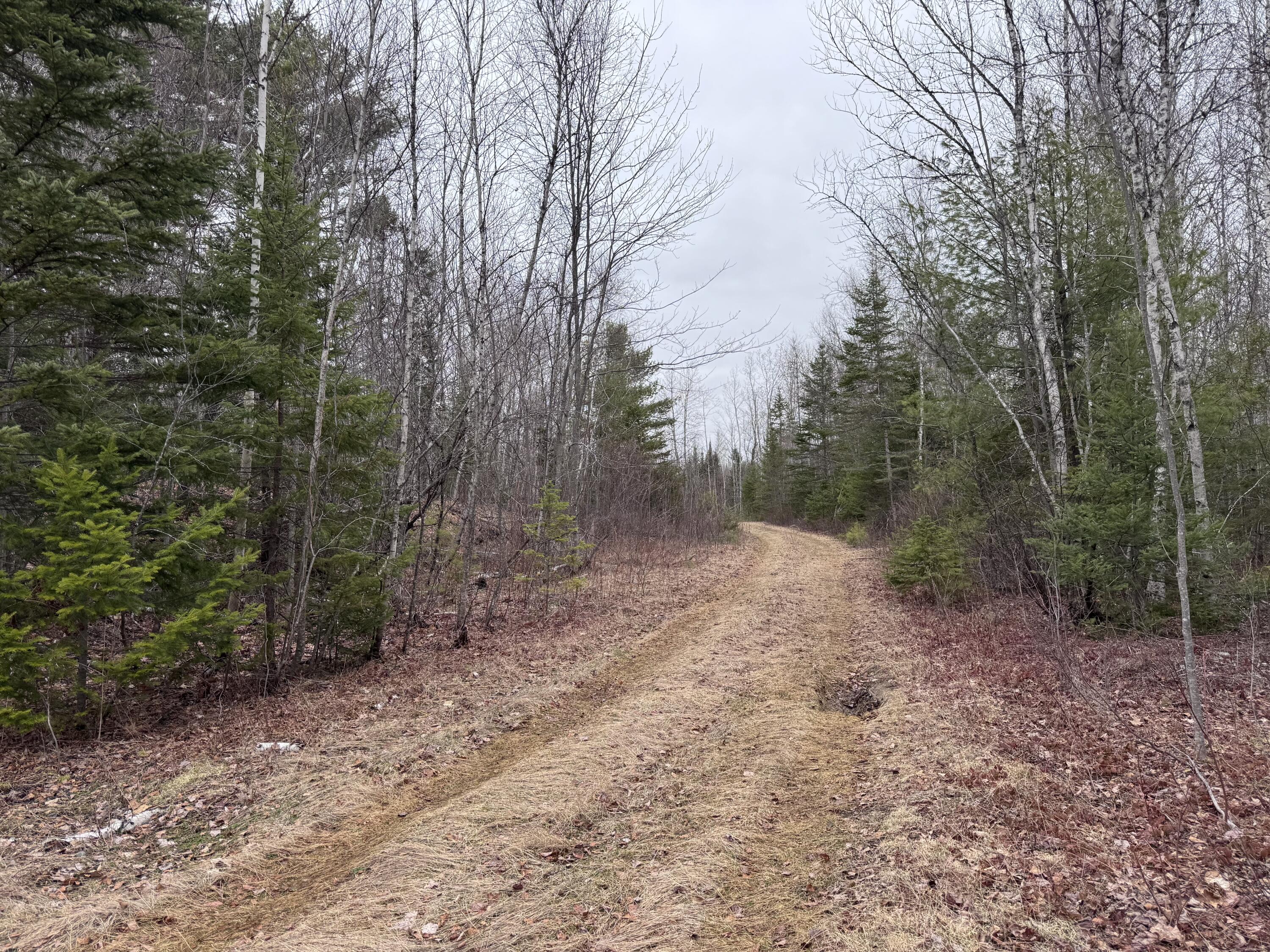 36 Otter Trail Greenbush ME 04418