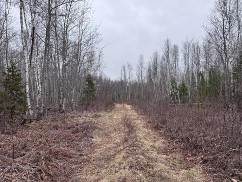 36 Otter Trail Greenbush ME 04418