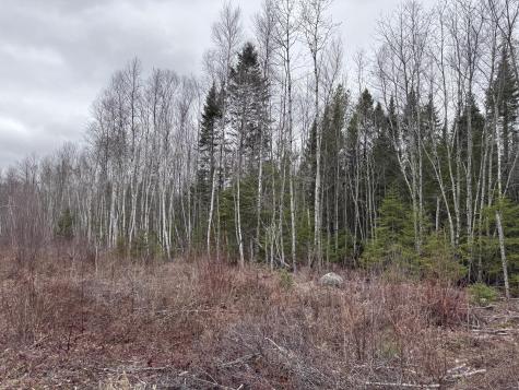 36 Otter Trail Greenbush ME 04418