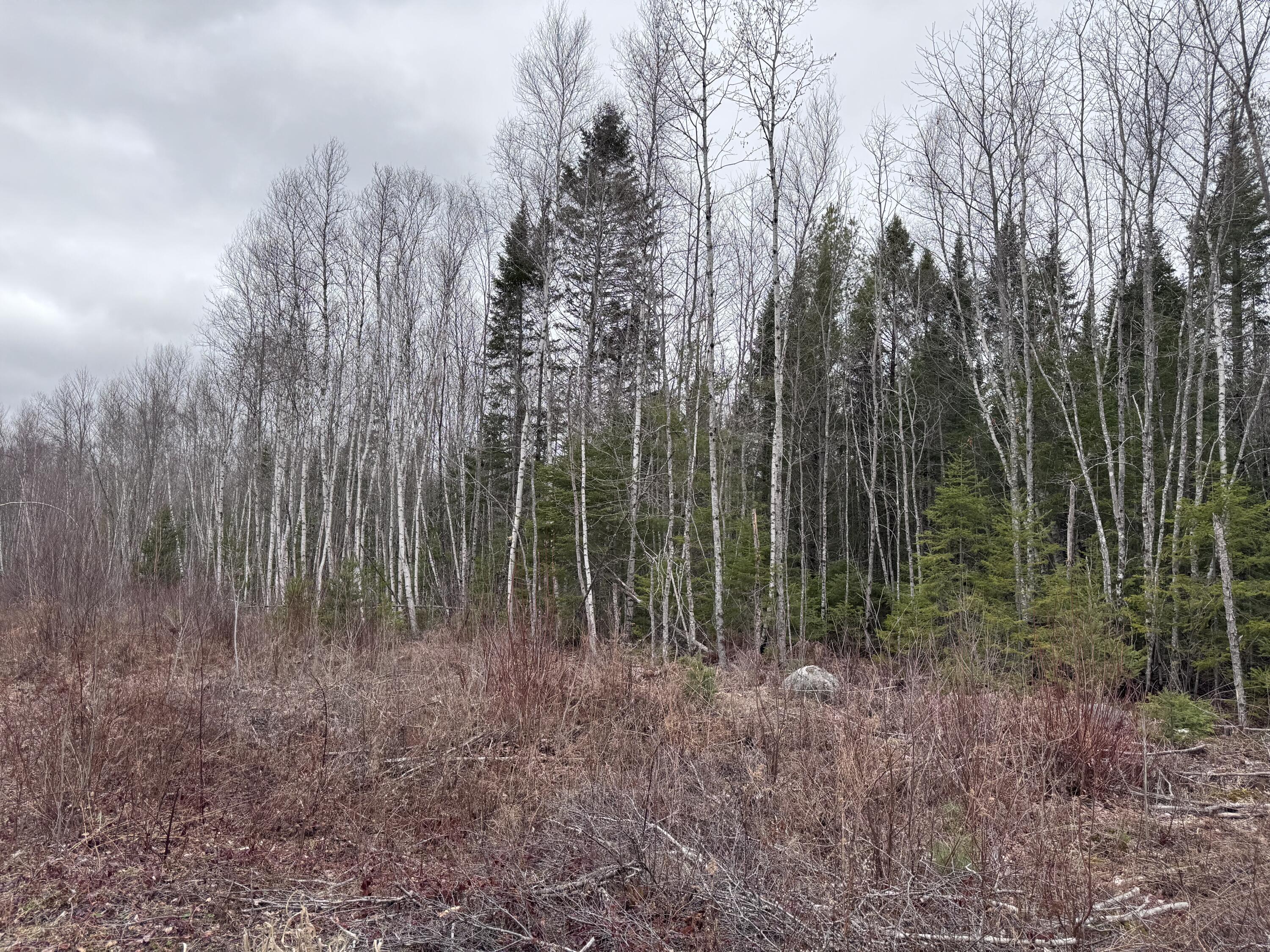 36 Otter Trail Greenbush ME 04418