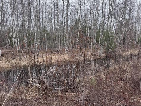 36 Otter Trail Greenbush ME 04418