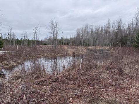 36 Otter Trail Greenbush ME 04418