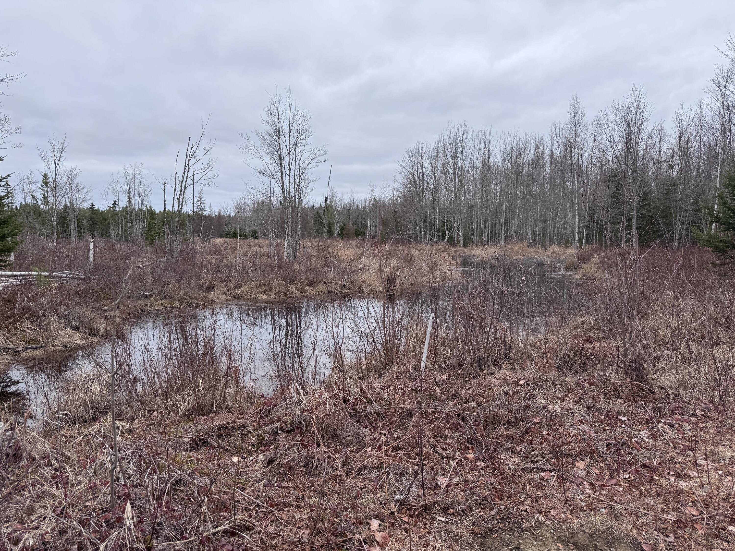 36 Otter Trail Greenbush ME 04418