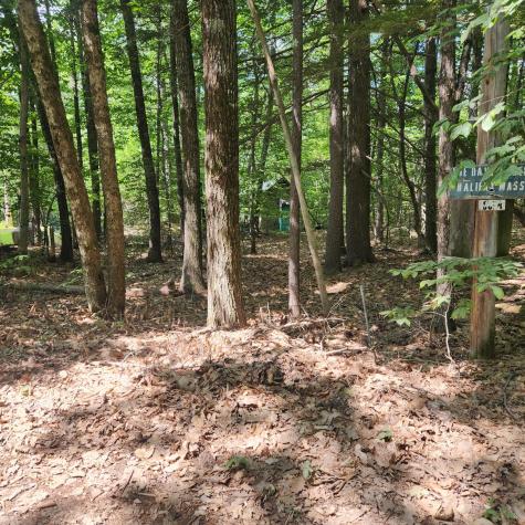 41 Busy Bee Road Naples ME 04055