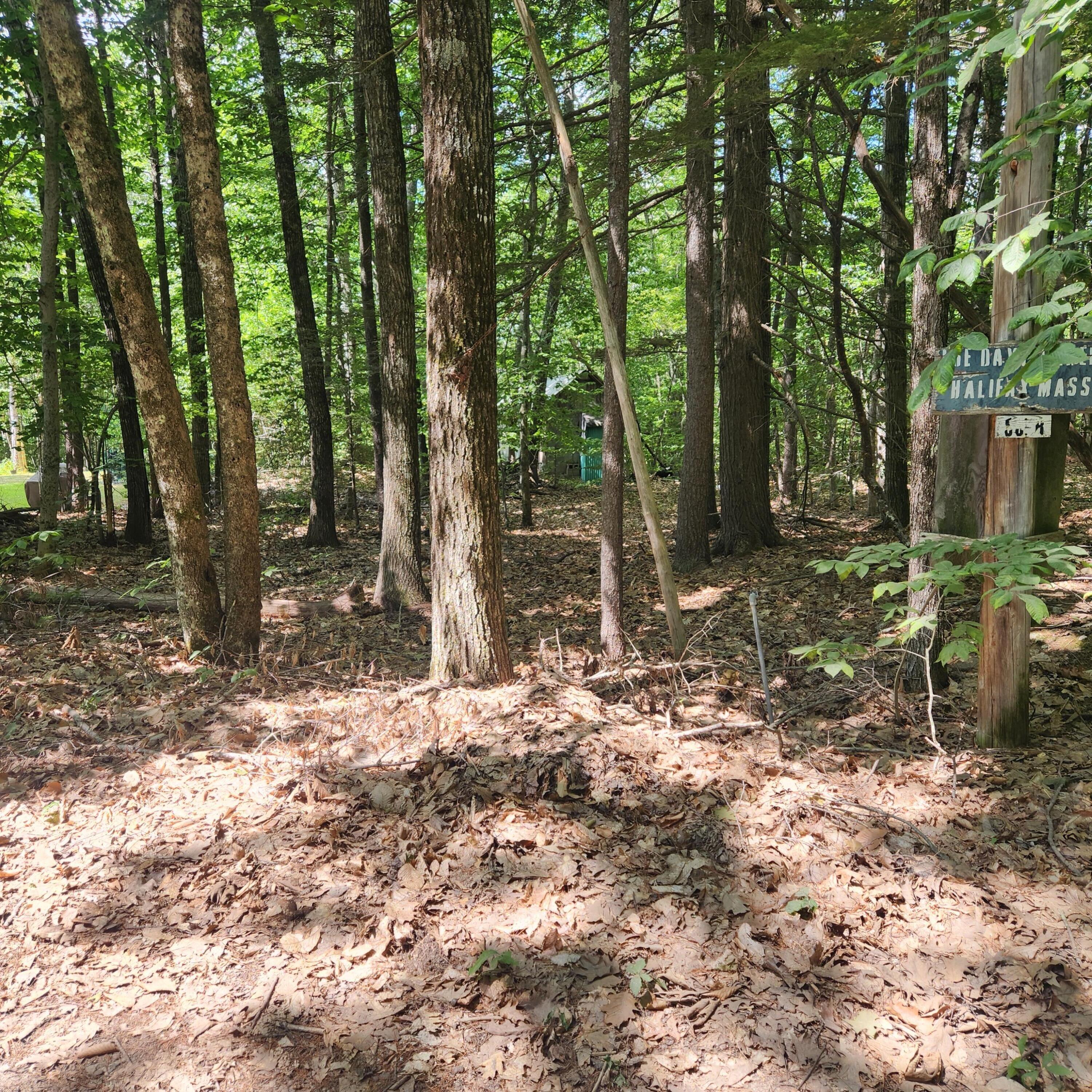 41 Busy Bee Road Naples ME 04055