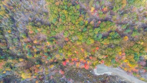 04 Foss Farm Road Bucksport ME 04416