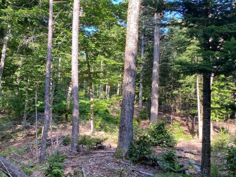 Lot 11b-1 Blair Hill Road Greenville ME 04441