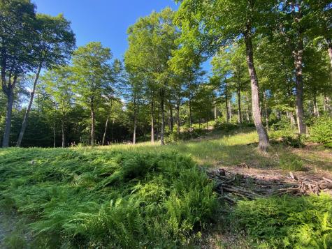 Lot 11b-1 Blair Hill Road Greenville ME 04441