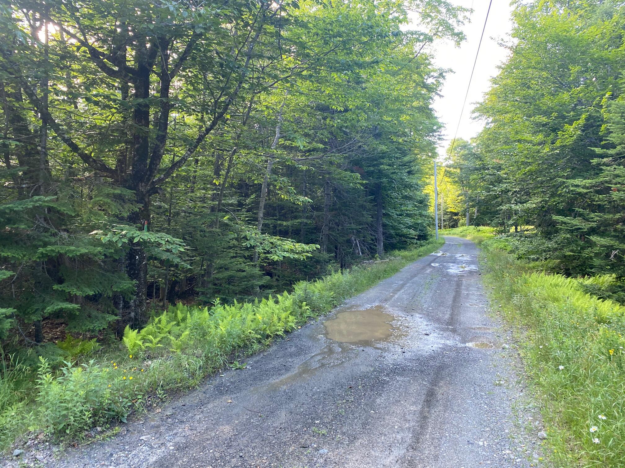 Lot 11b-1 Blair Hill Road Greenville ME 04441