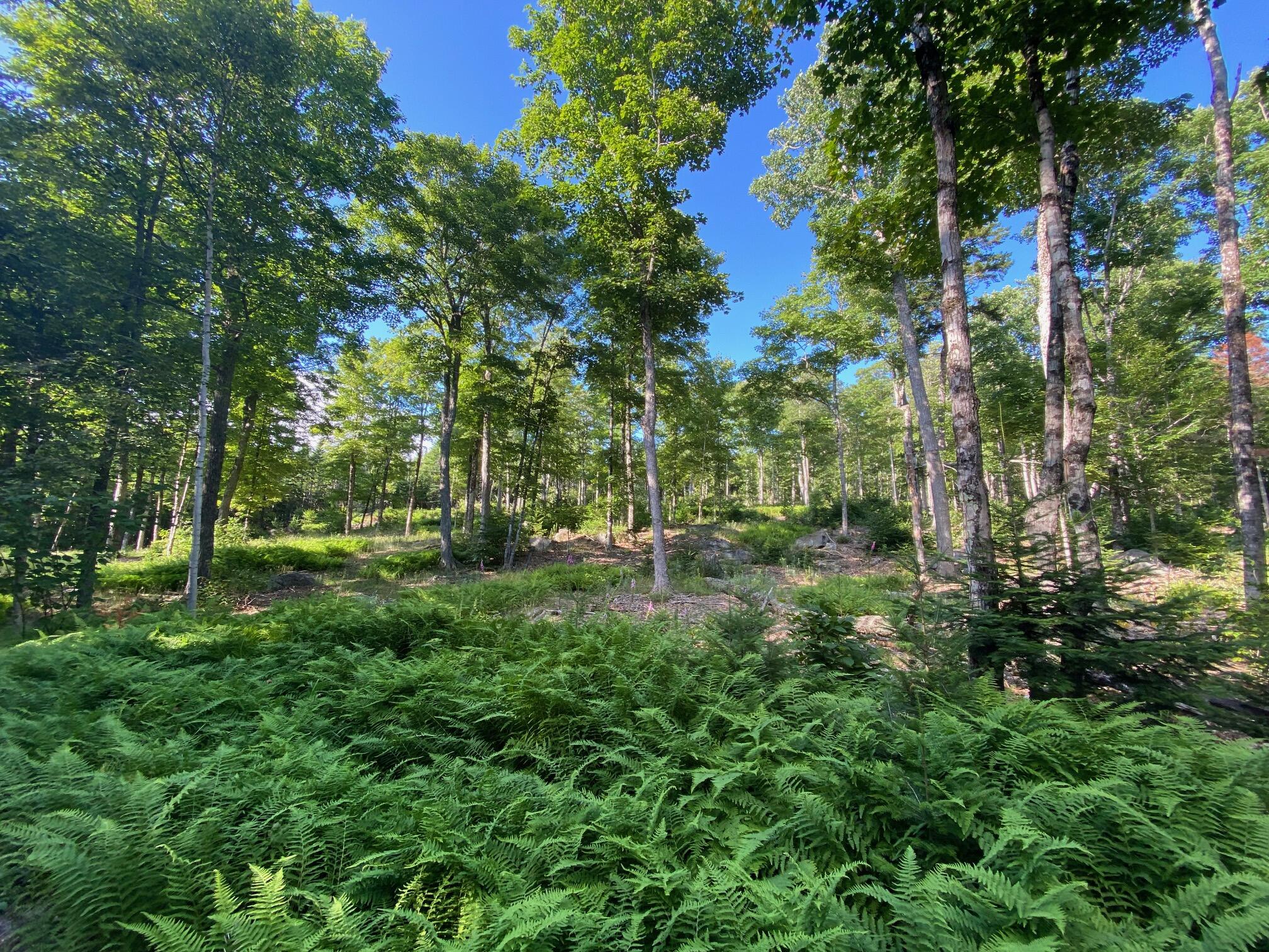 Lot 11b-1 Blair Hill Road Greenville ME 04441