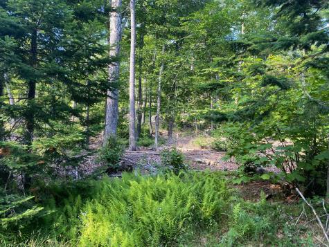 Lot 11b-1 Blair Hill Road Greenville ME 04441