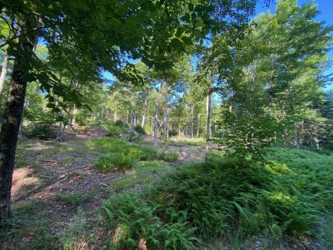 Lot 11b-1 Blair Hill Road Greenville ME 04441