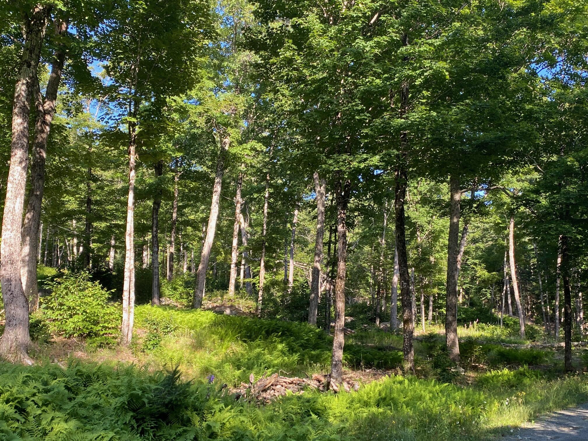 Lot 11b-1 Blair Hill Road Greenville ME 04441