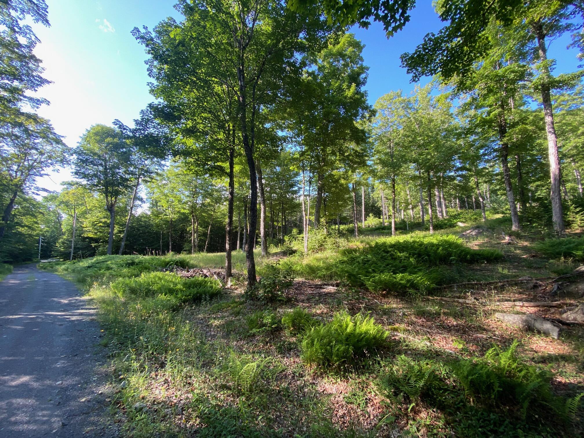 Lot 11b-1 Blair Hill Road Greenville ME 04441