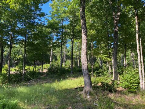 Lot 11b-1 Blair Hill Road Greenville ME 04441