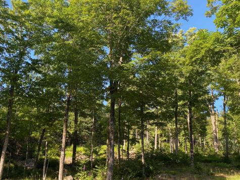 Lot 11b-1 Blair Hill Road Greenville ME 04441