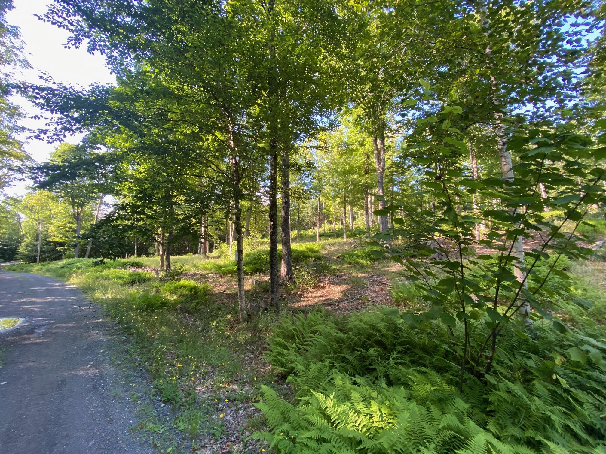 Lot 11b-1 Blair Hill Road Greenville ME 04441