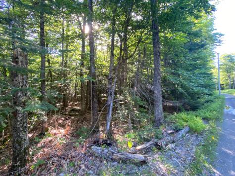 Lot 11b-1 Blair Hill Road Greenville ME 04441