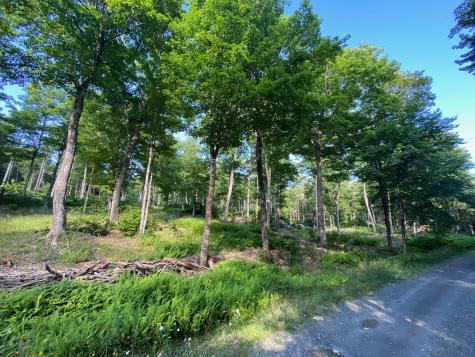 Lot 11b-1 Blair Hill Road Greenville ME 04441