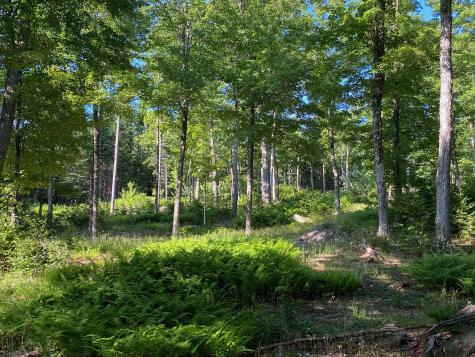 Lot 11b-1 Blair Hill Road Greenville ME 04441