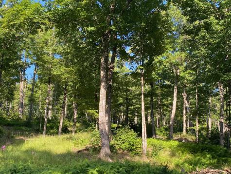Lot 11b-1 Blair Hill Road Greenville ME 04441