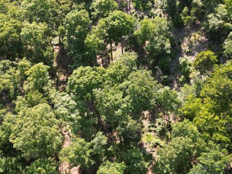 Lot 11b-1 Blair Hill Road Greenville ME 04441