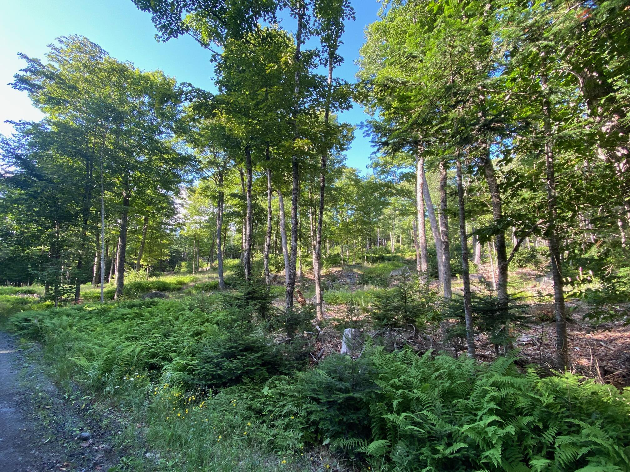 Lot 11b-1 Blair Hill Road Greenville ME 04441
