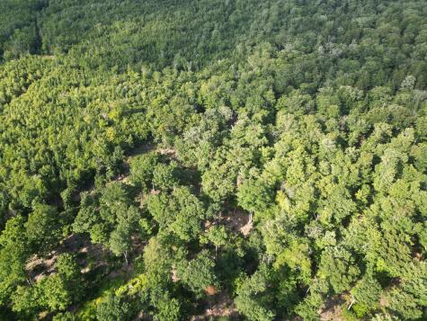 Lot 11b-1 Blair Hill Road Greenville ME 04441