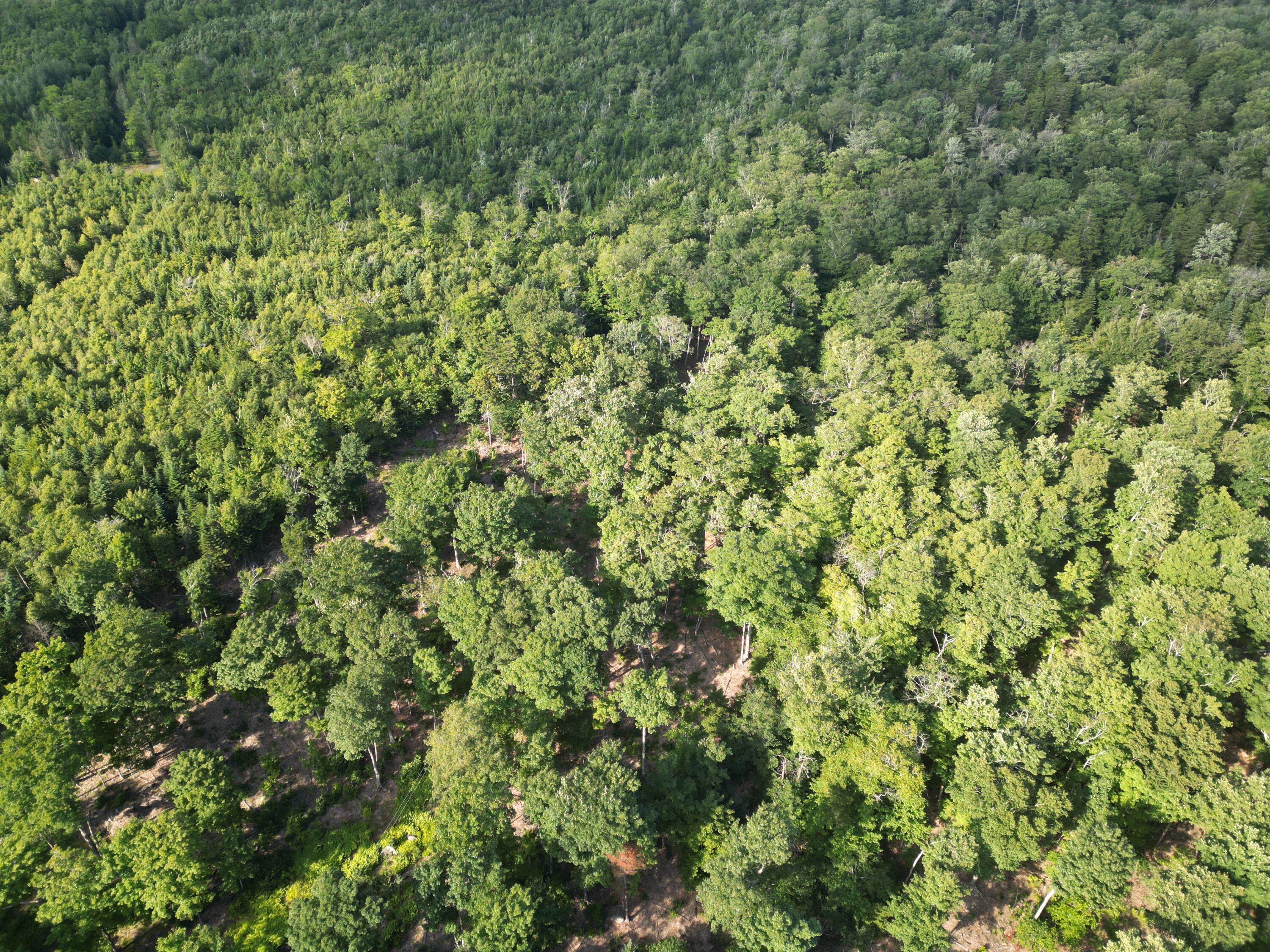 Lot 11b-1 Blair Hill Road Greenville ME 04441