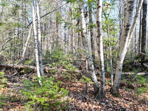 Lot 8a,9a James Way Lincoln ME 04457