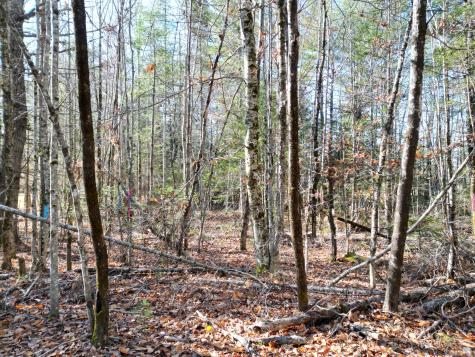 Lot 8a,9a James Way Lincoln ME 04457