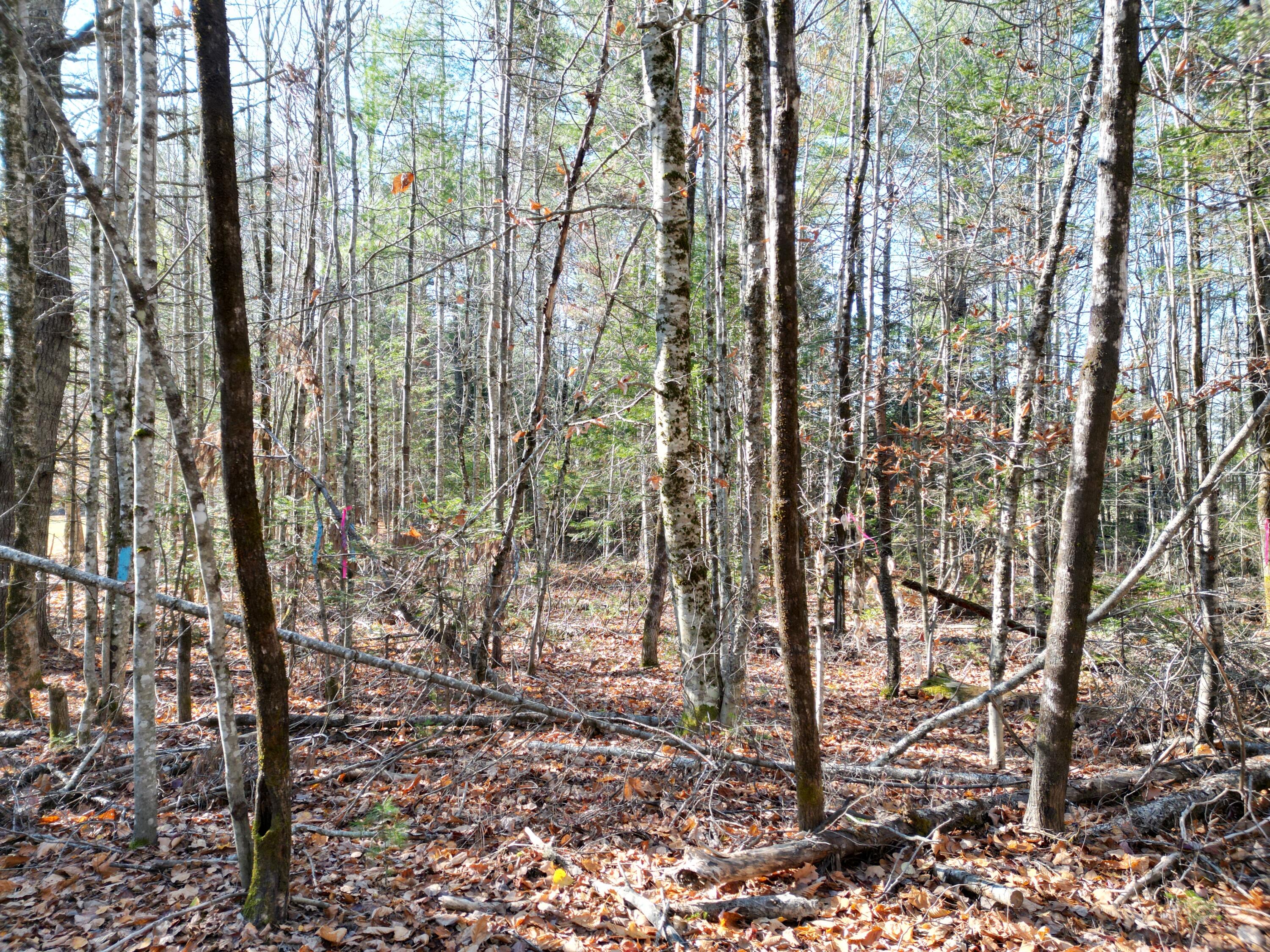 Lot 8a,9a James Way Lincoln ME 04457