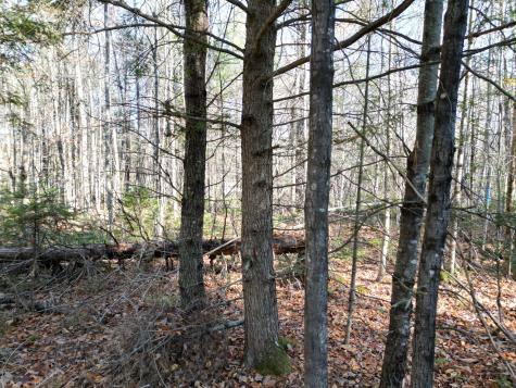 Lot 8a,9a James Way Lincoln ME 04457