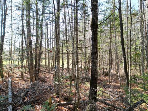 Lot 8a,9a James Way Lincoln ME 04457