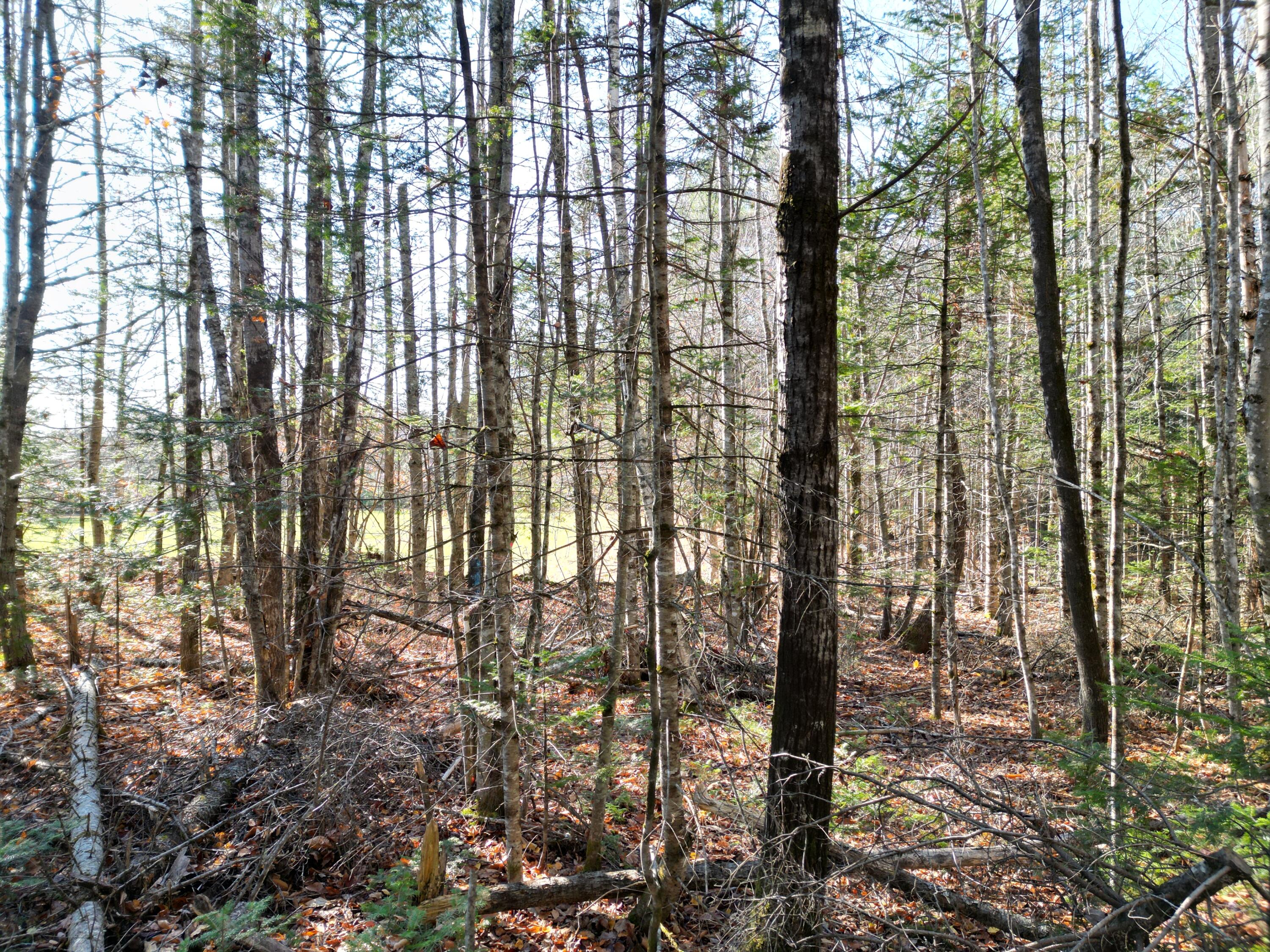 Lot 8a,9a James Way Lincoln ME 04457