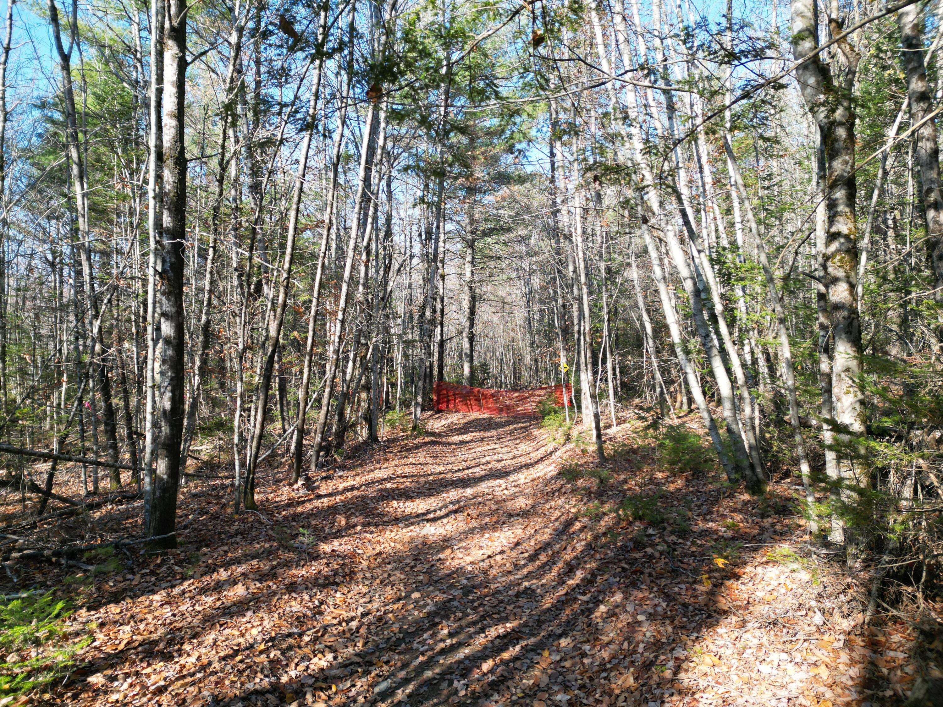Lot 8a,9a James Way Lincoln ME 04457