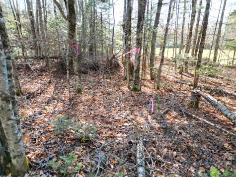 Lot 8a,9a James Way Lincoln ME 04457