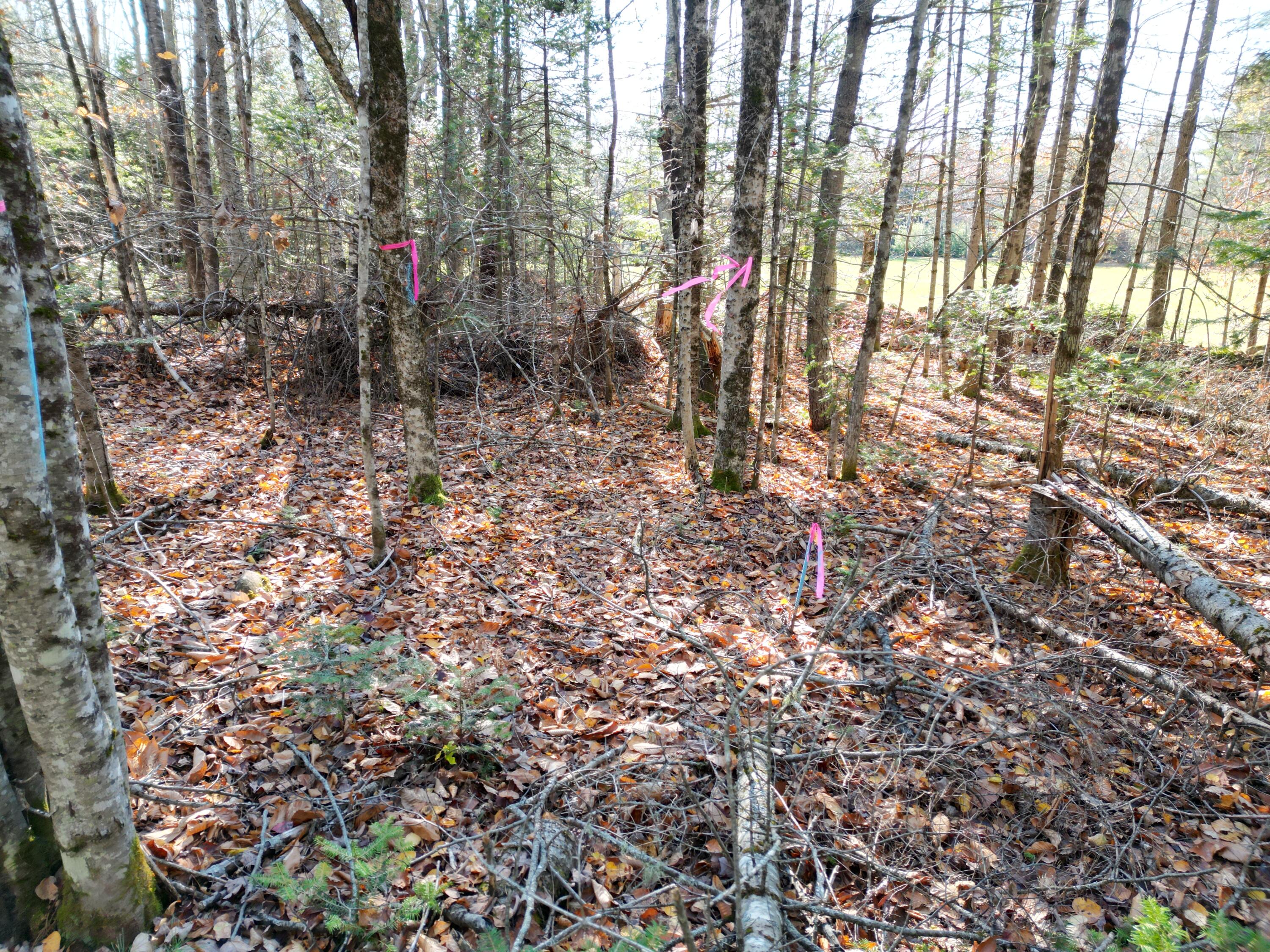 Lot 8a,9a James Way Lincoln ME 04457