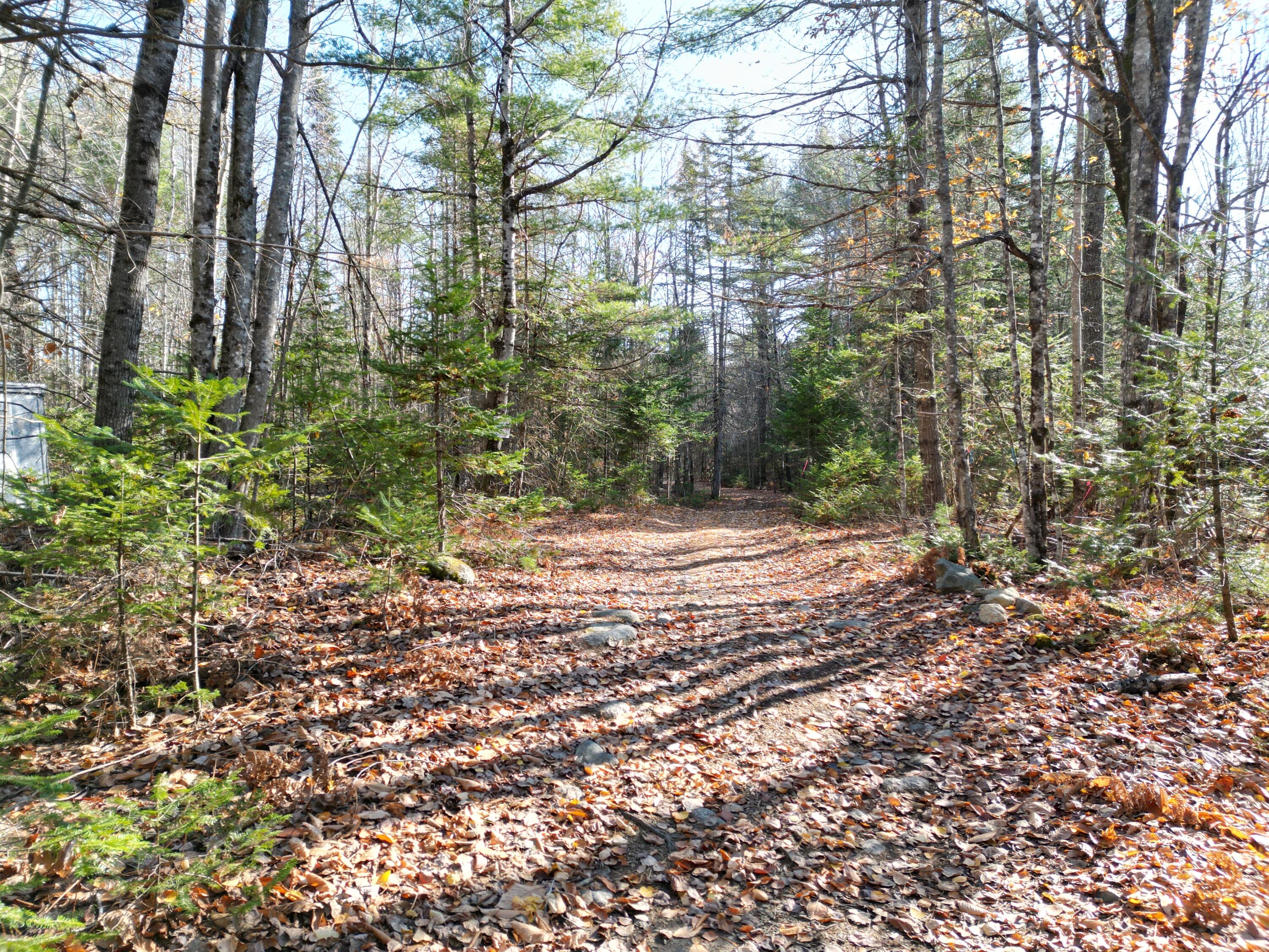 Lot 8a,9a James Way Lincoln ME 04457