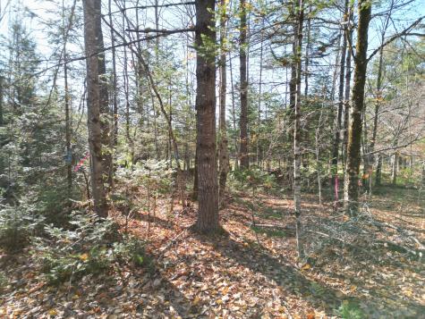 Lot 8a,9a James Way Lincoln ME 04457
