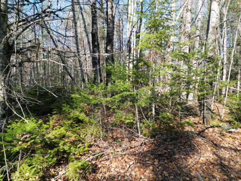 Lot 8a,9a James Way Lincoln ME 04457